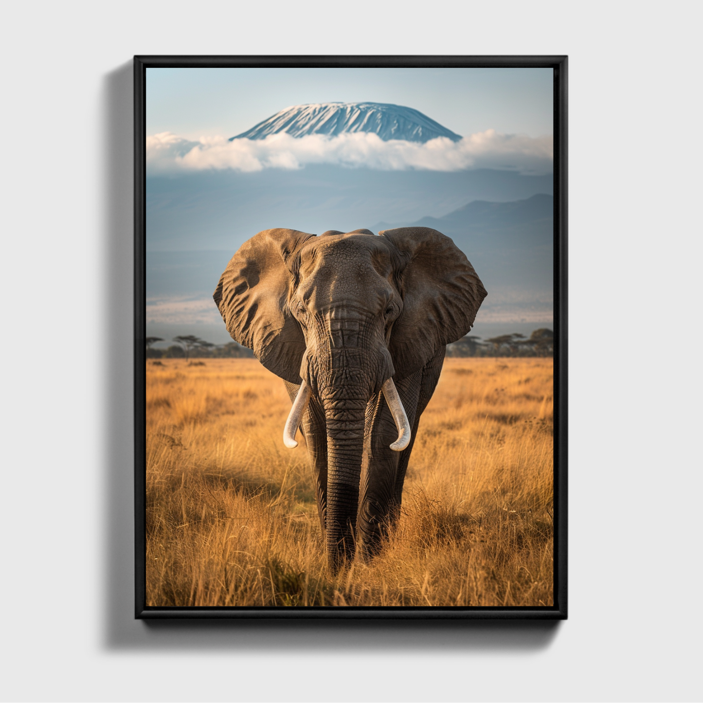 Amboseli National Park Elephant