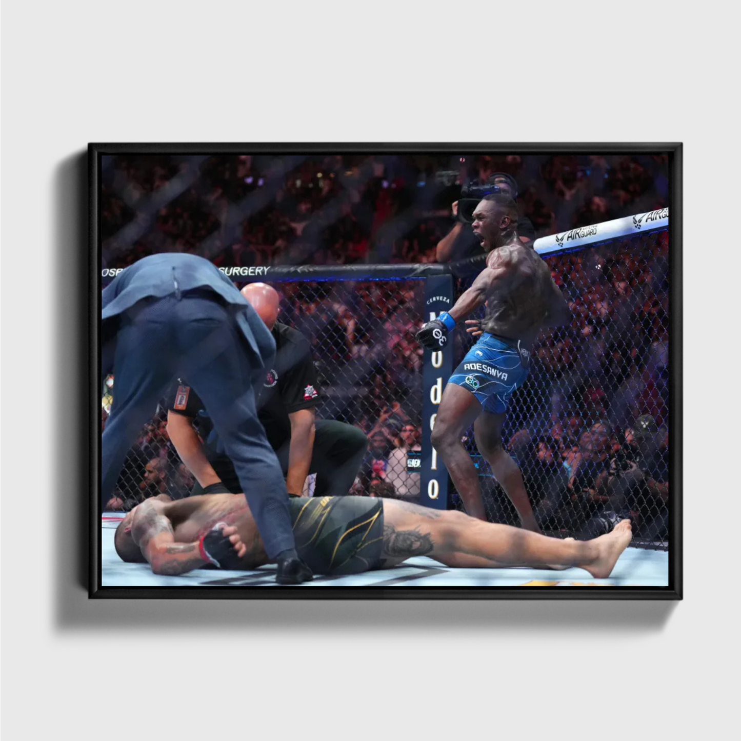Israel Adesanya KO Win