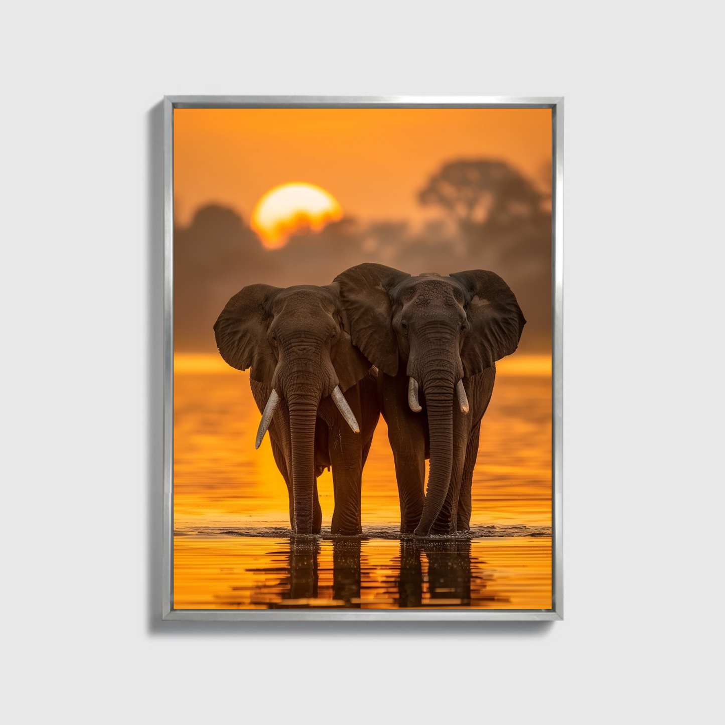 African Elephant
