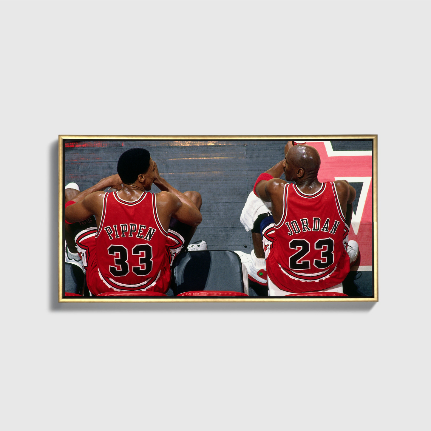 Jorden With Pippen
