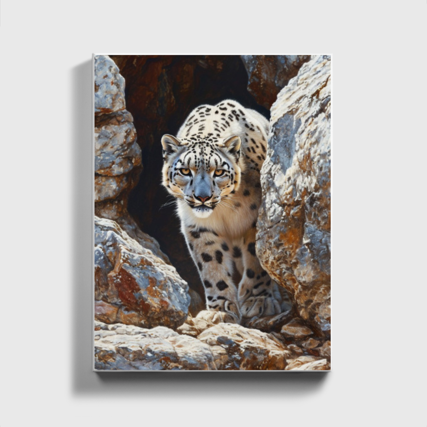 Snow Leopard Navigating