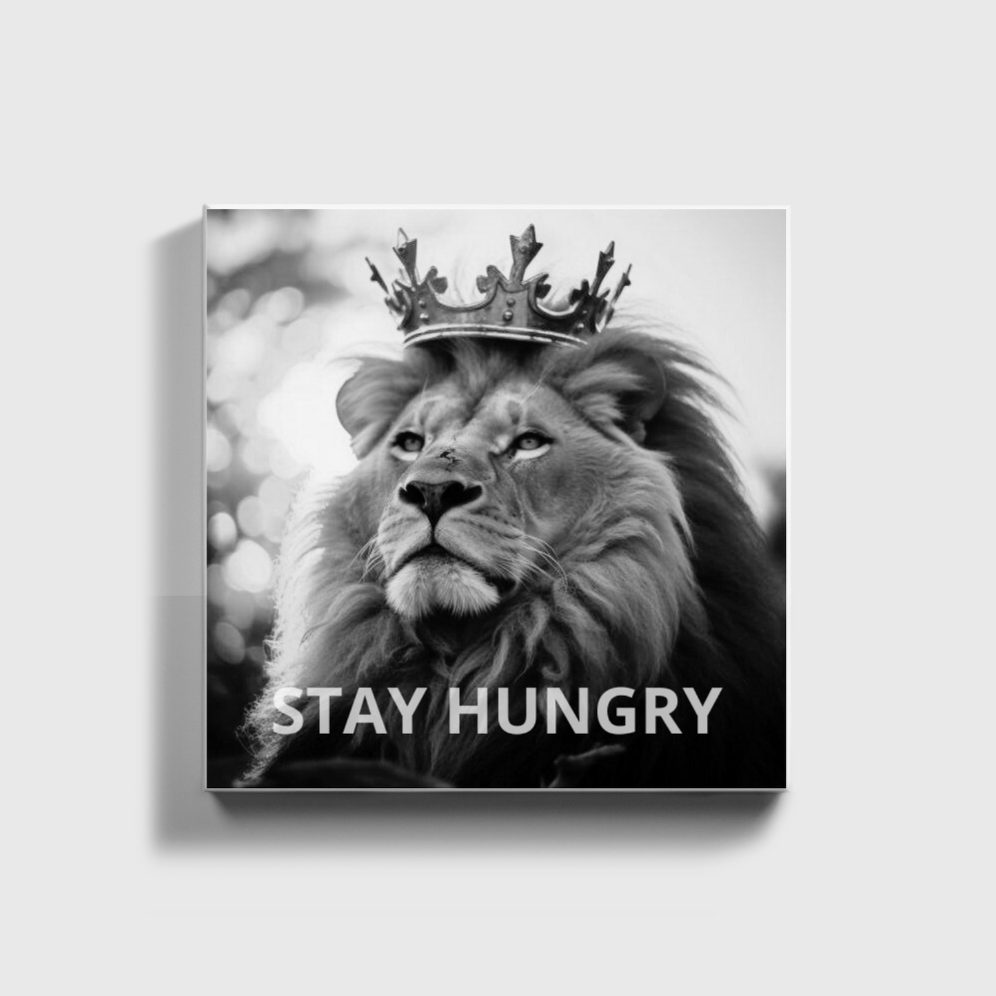 STAY HUNGRY