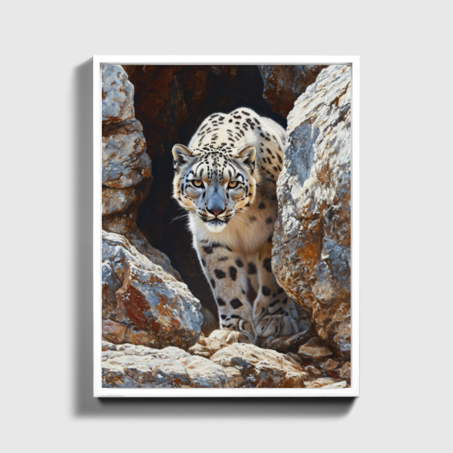 Snow Leopard Navigating