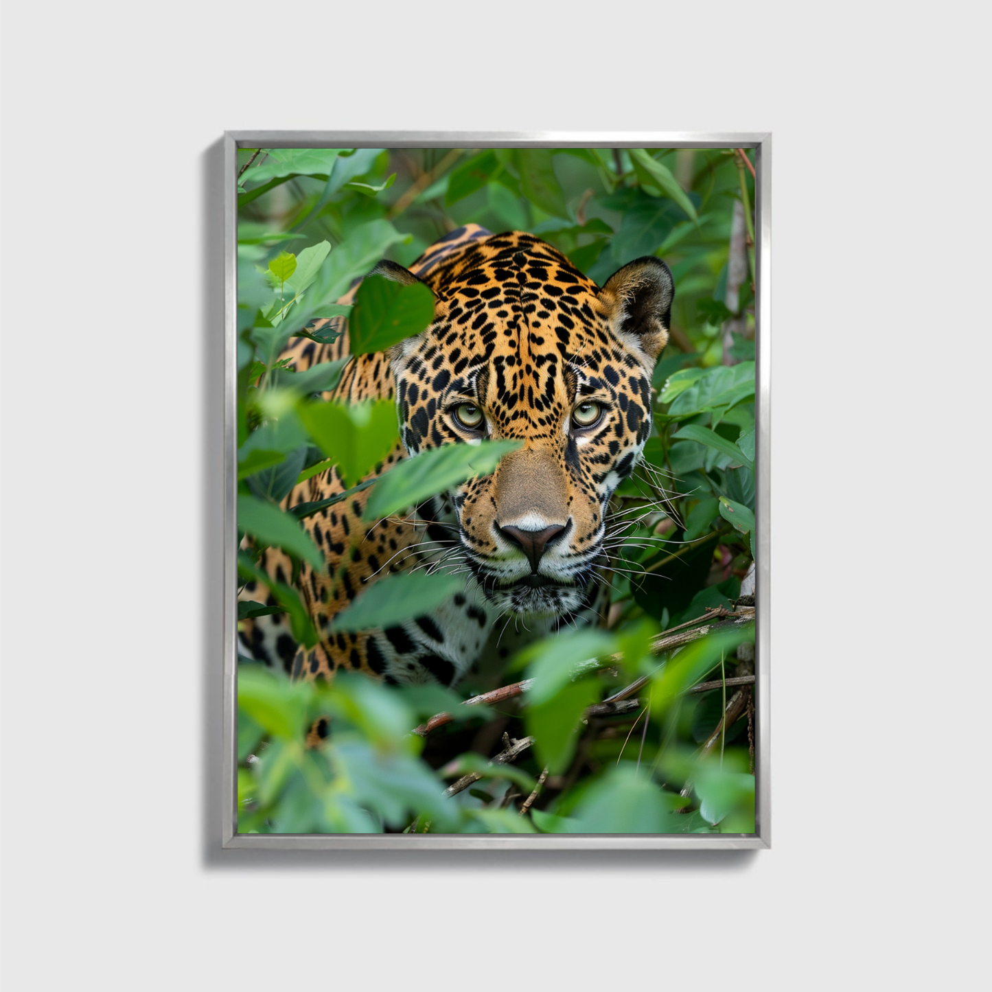 Jaguar in the Jungle