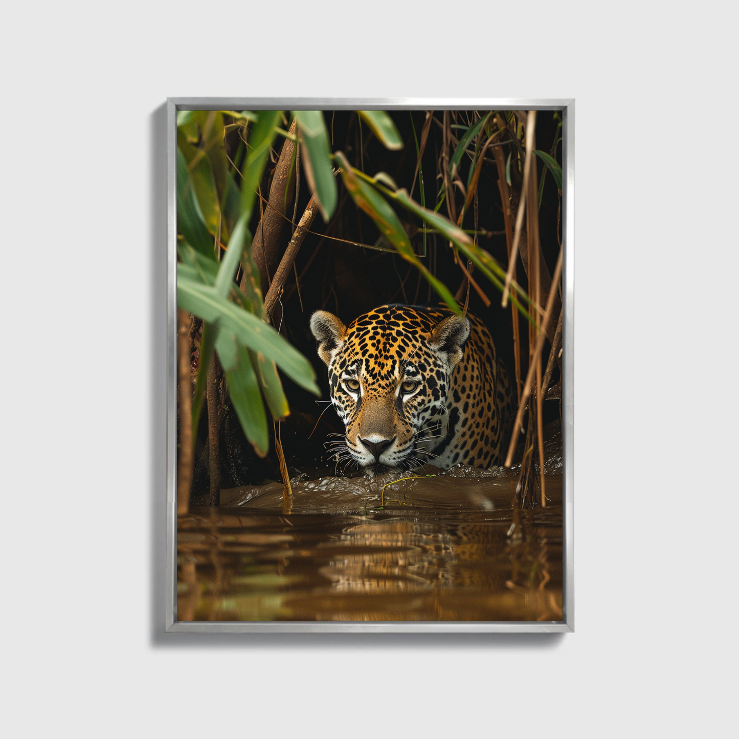 Jaguar in the Jungle 3.0
