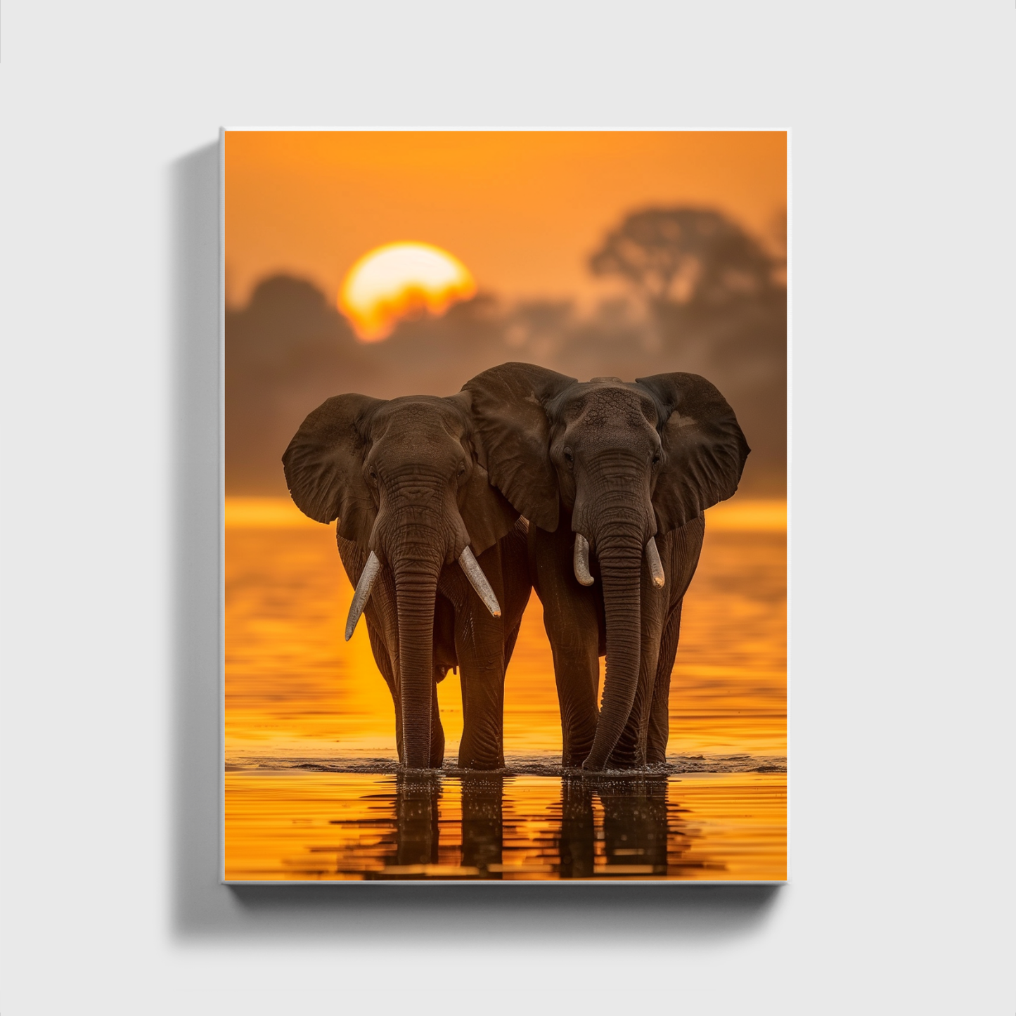 African Elephant