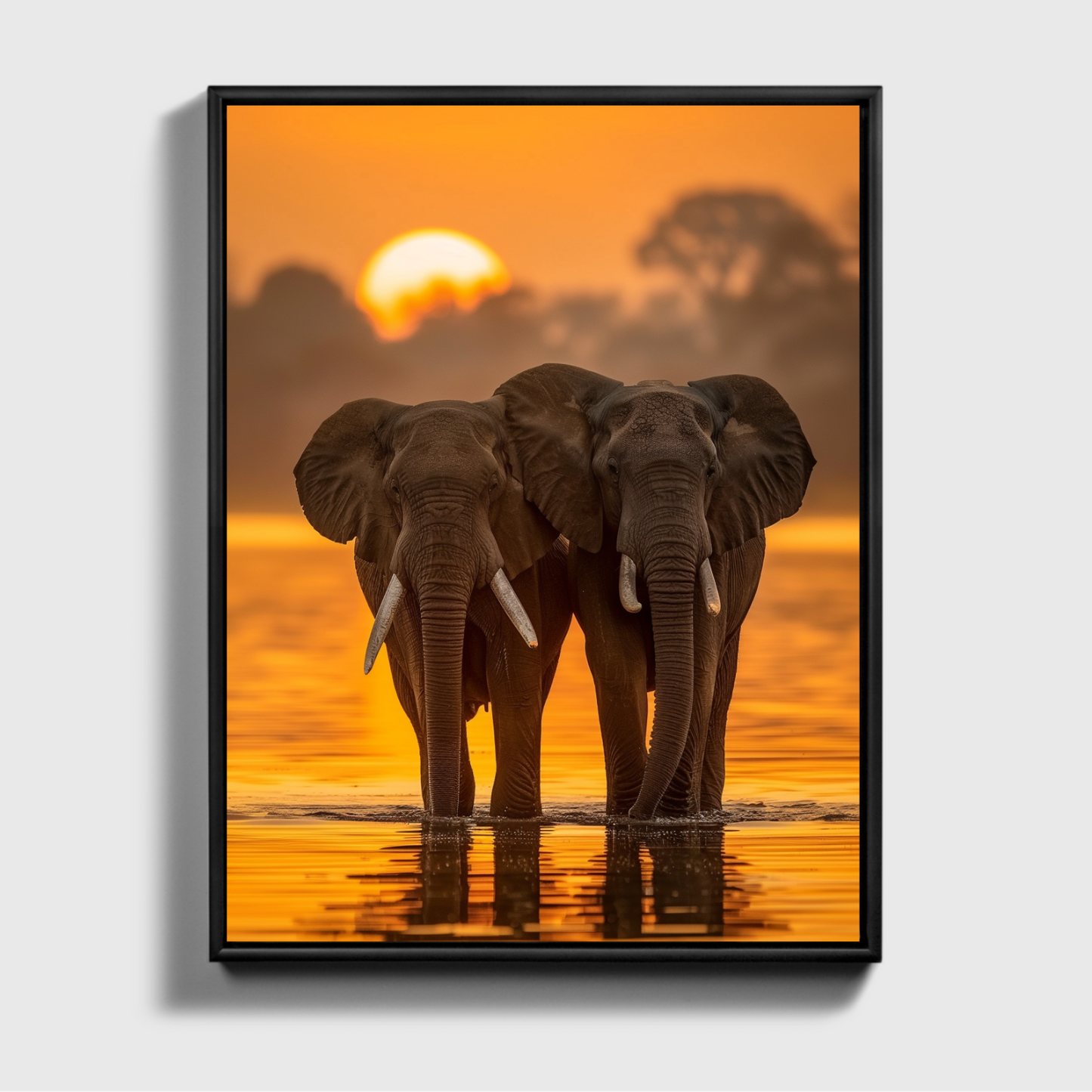 African Elephant