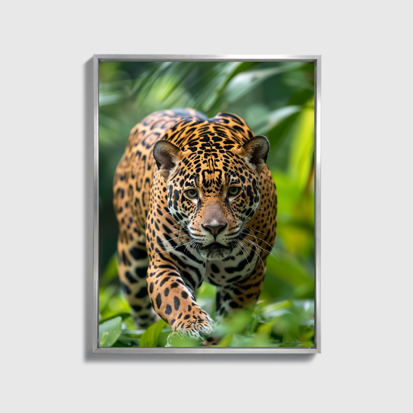 Jaguar running through the Jungle 2.0