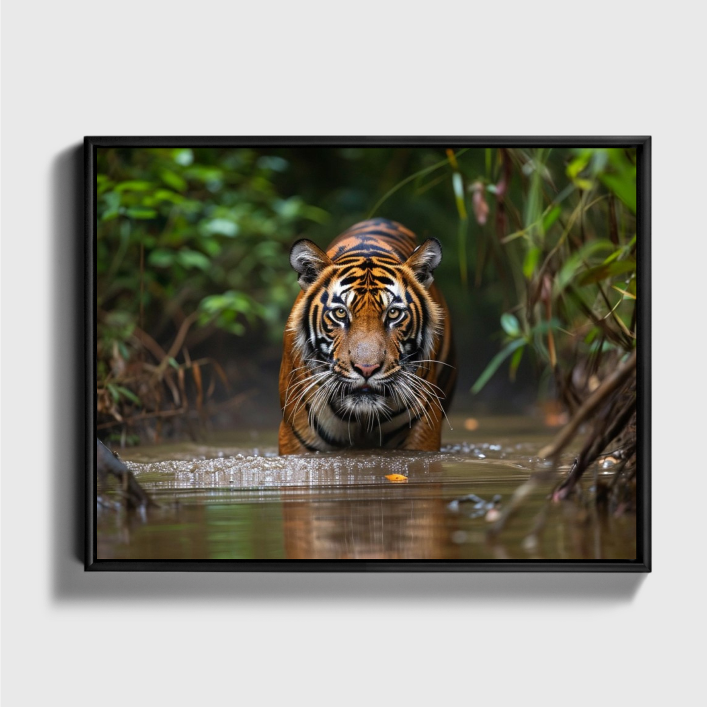 Sumatran Tiger Steakthily Approachin Waterhole