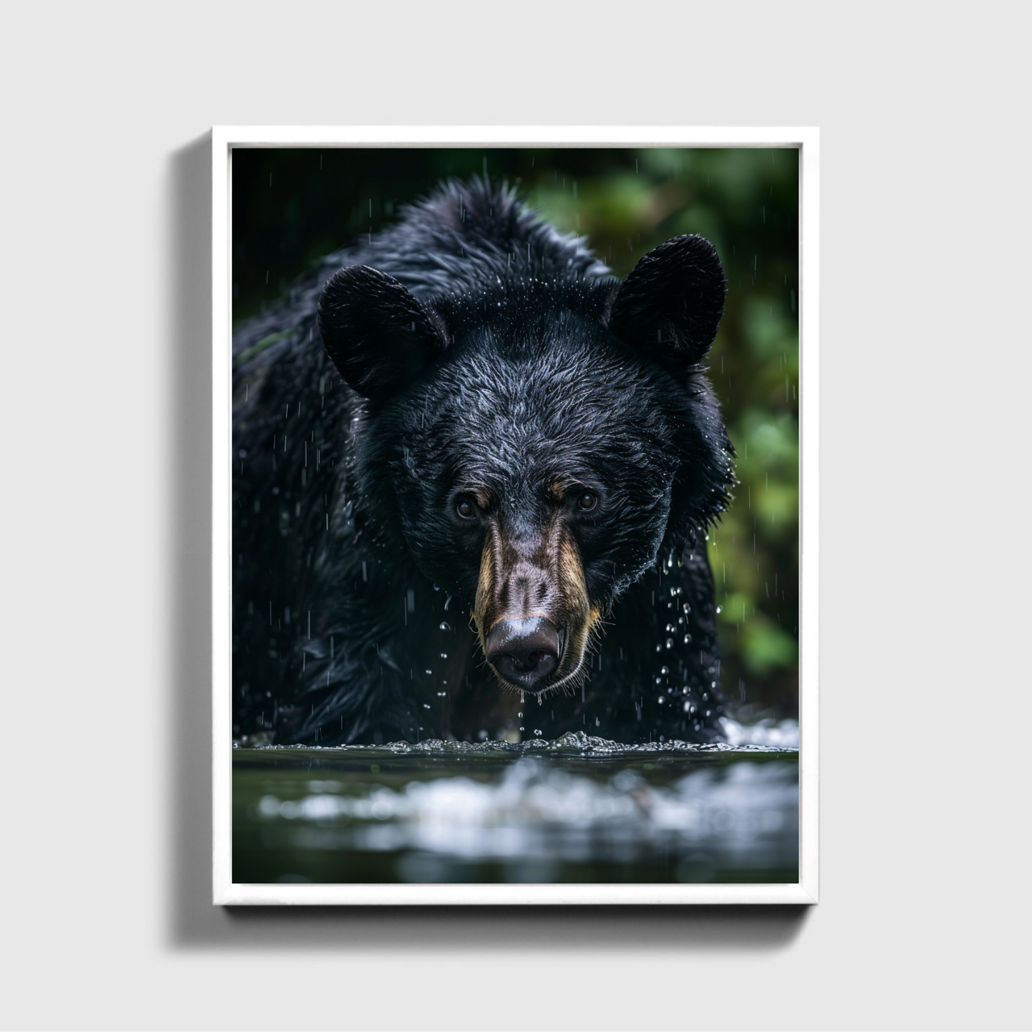 Black Bear Fishing Canadian River 2.0