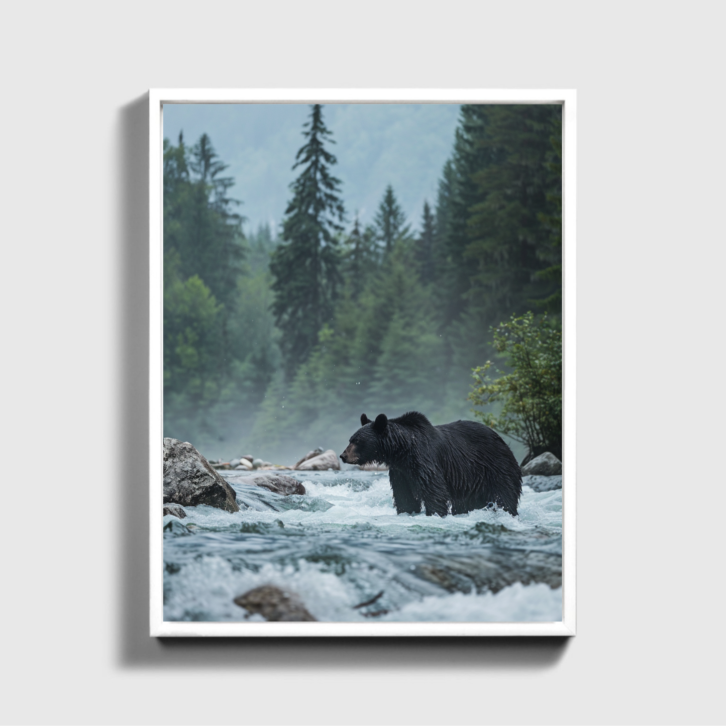 Black bear standing in river