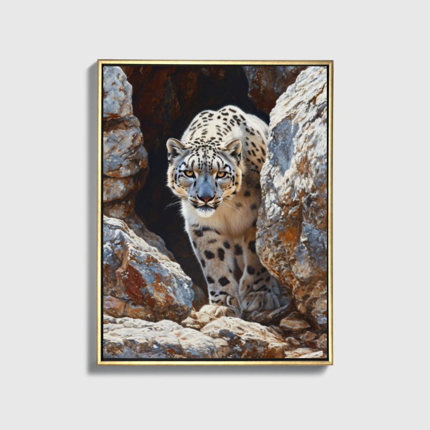Snow Leopard Navigating