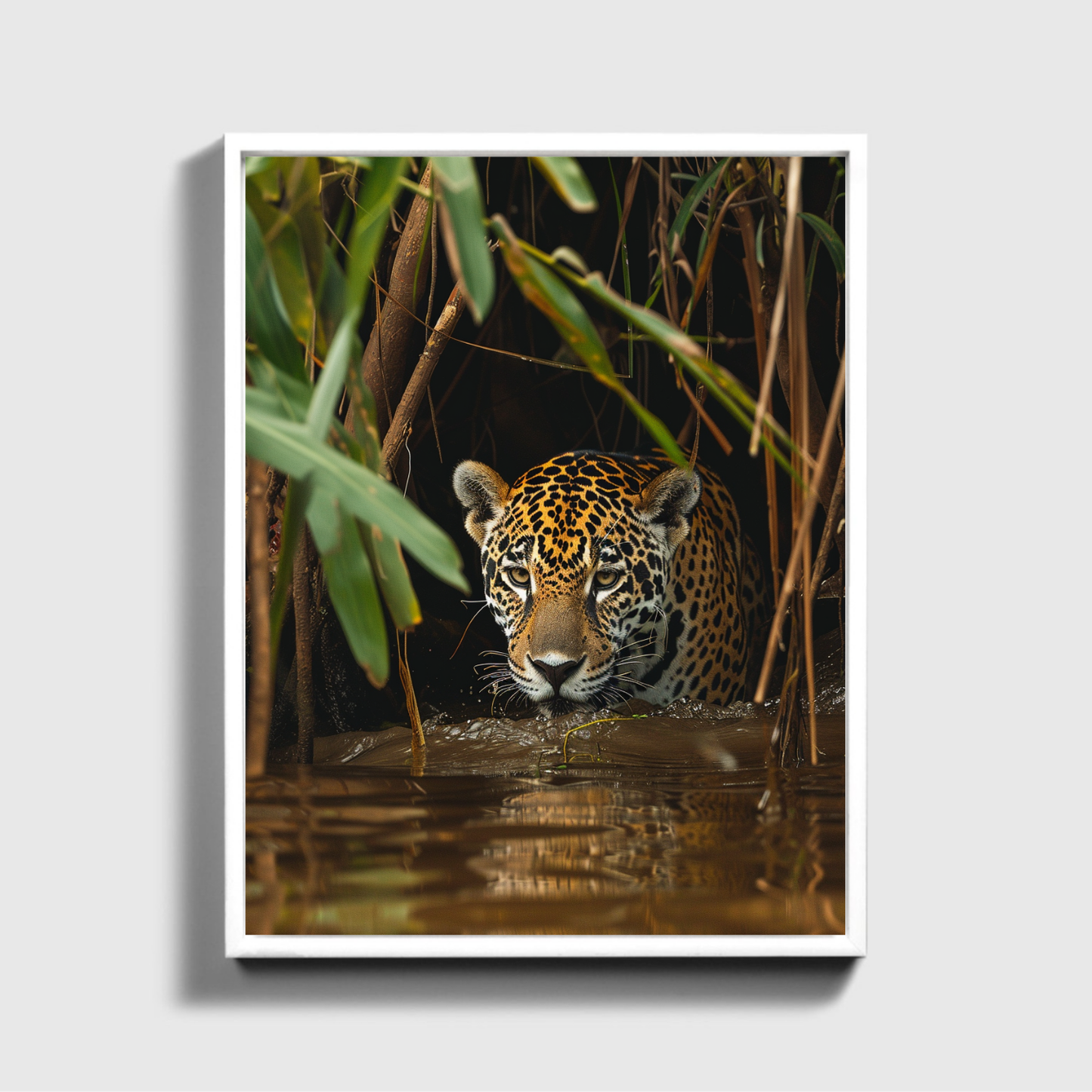 Jaguar in the Jungle 3.0