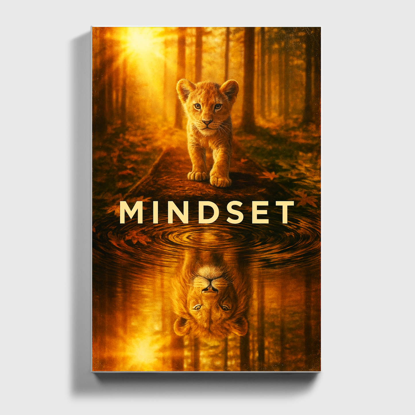 Mindset