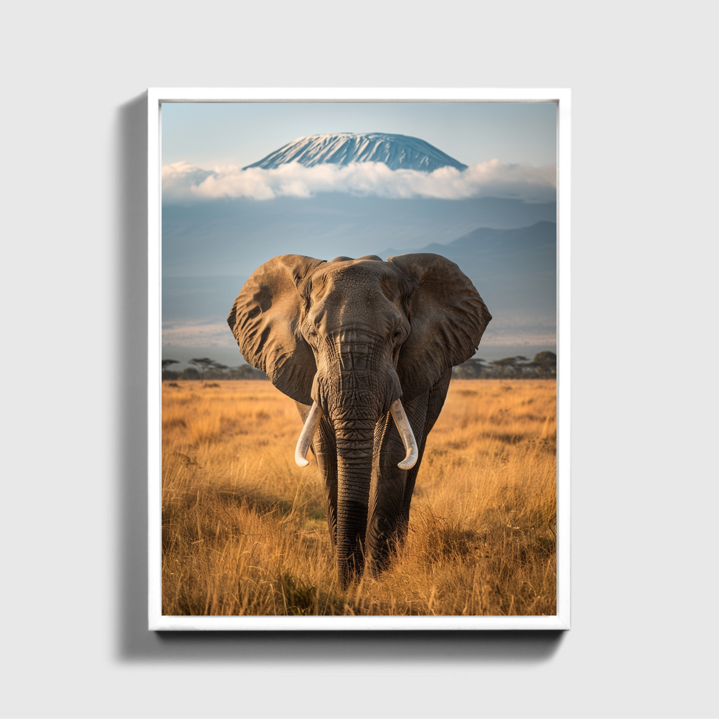 Amboseli National Park Elephant