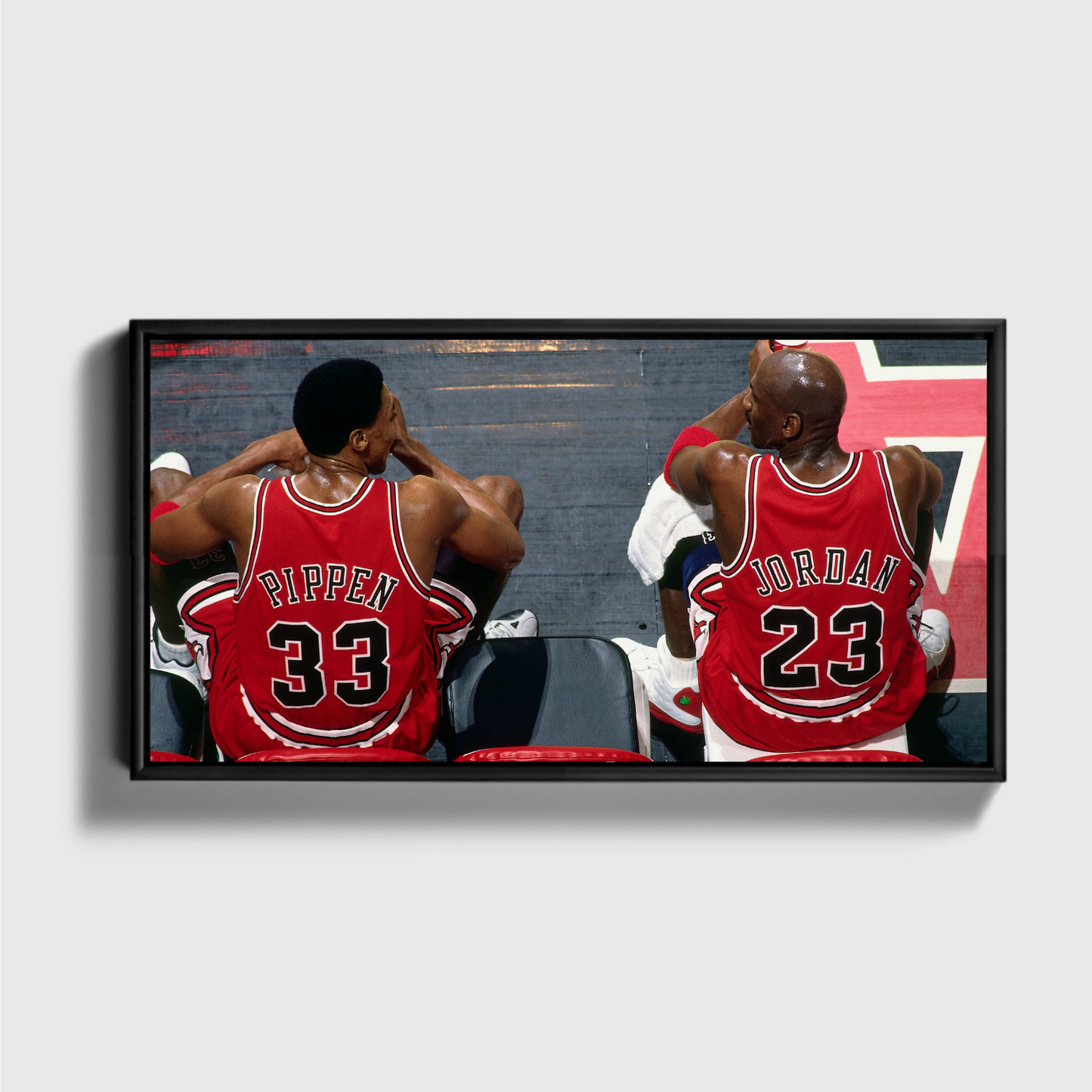 Jorden With Pippen