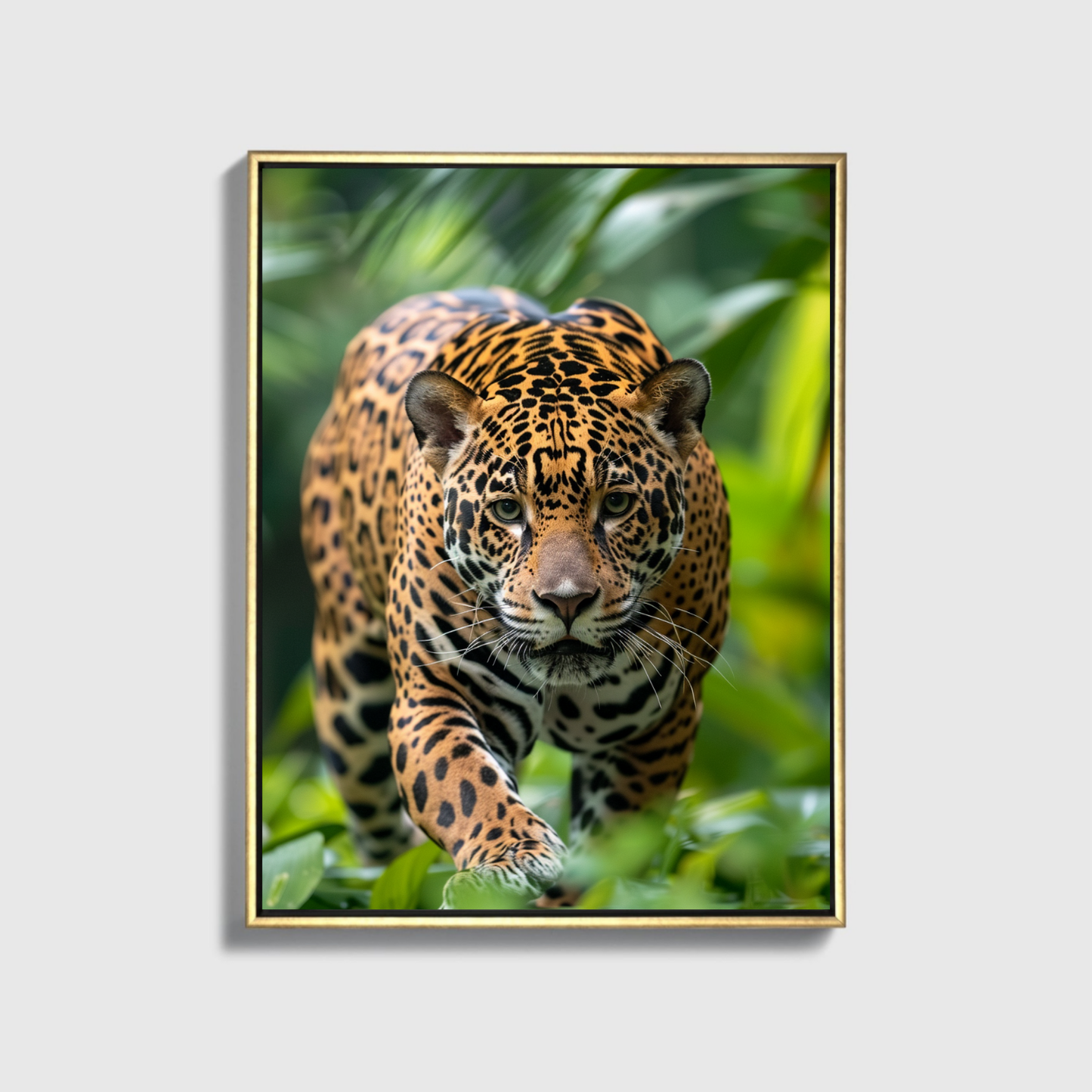 Jaguar running through the Jungle 2.0