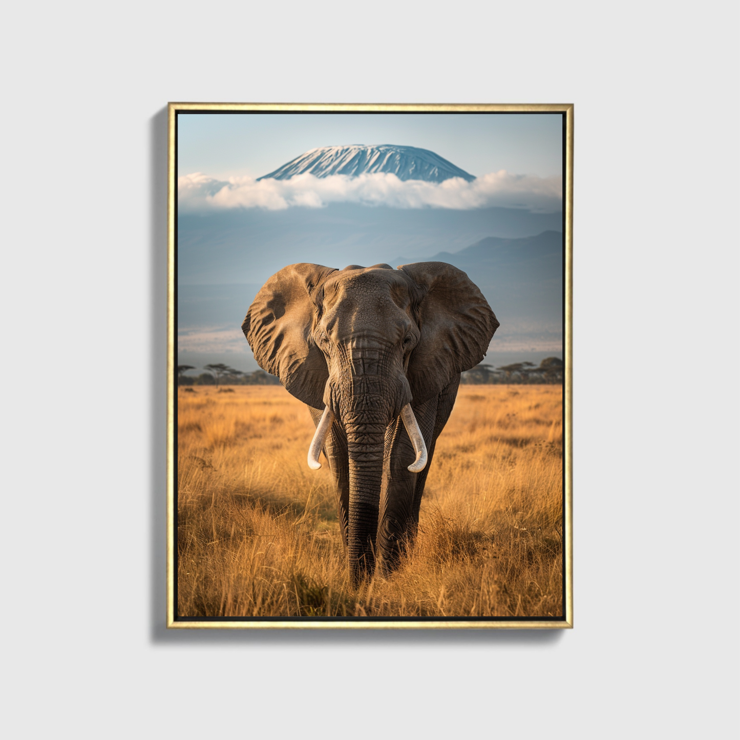 Amboseli National Park Elephant