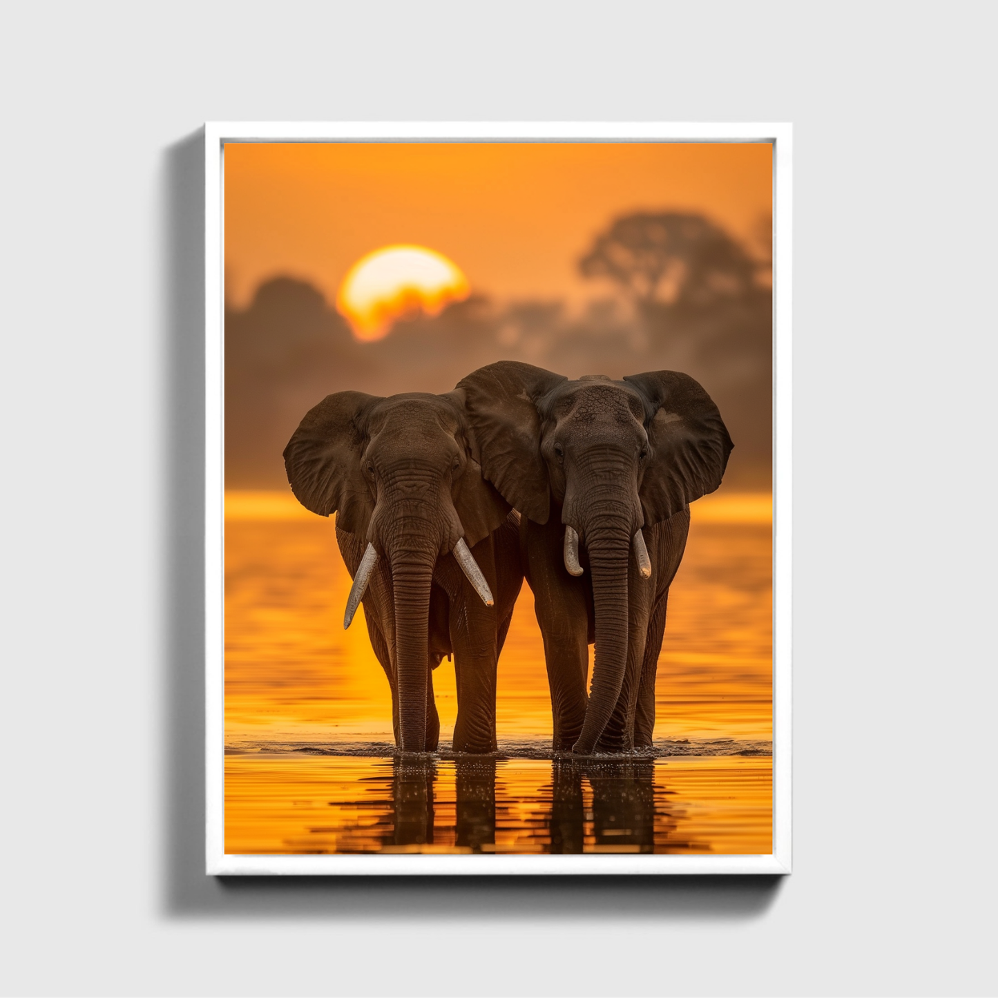 African Elephant