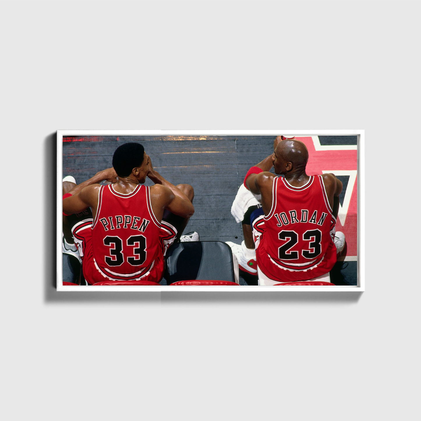 Jorden With Pippen