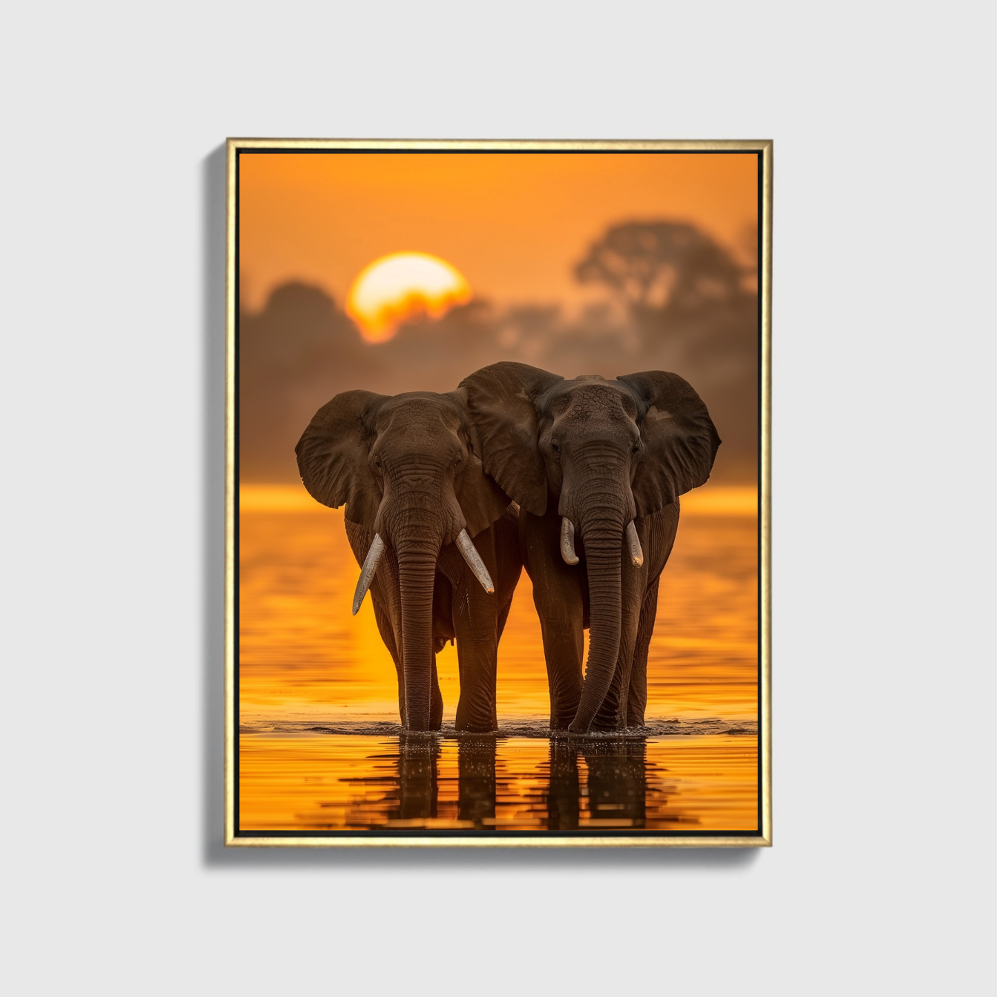 African Elephant