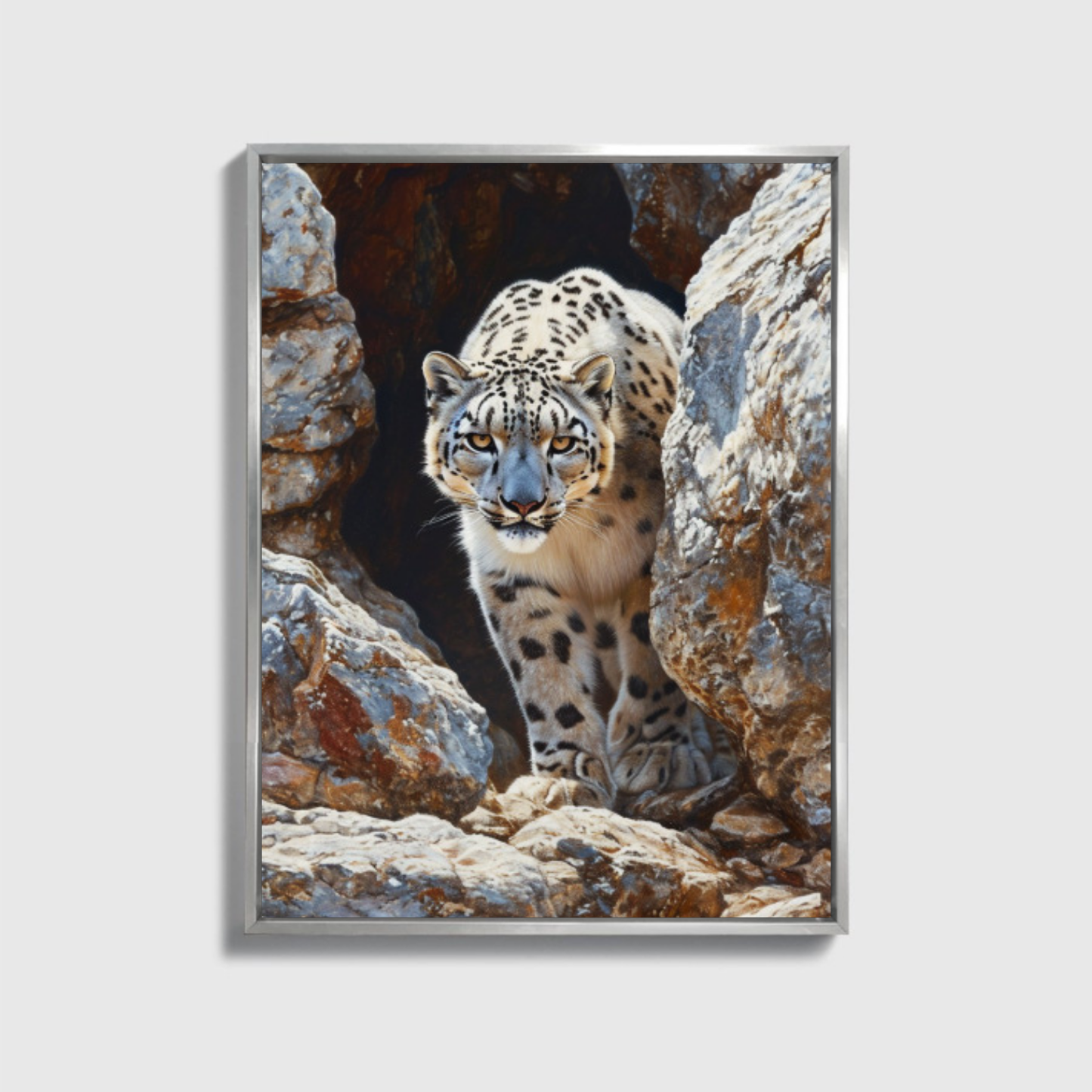 Snow Leopard Navigating