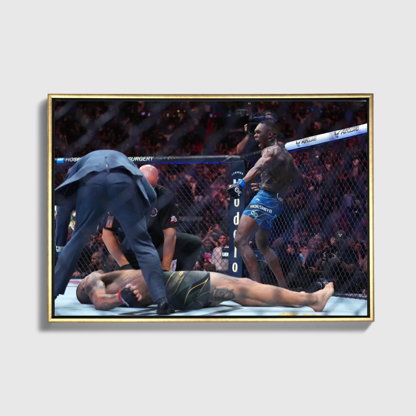 Israel Adesanya KO Win