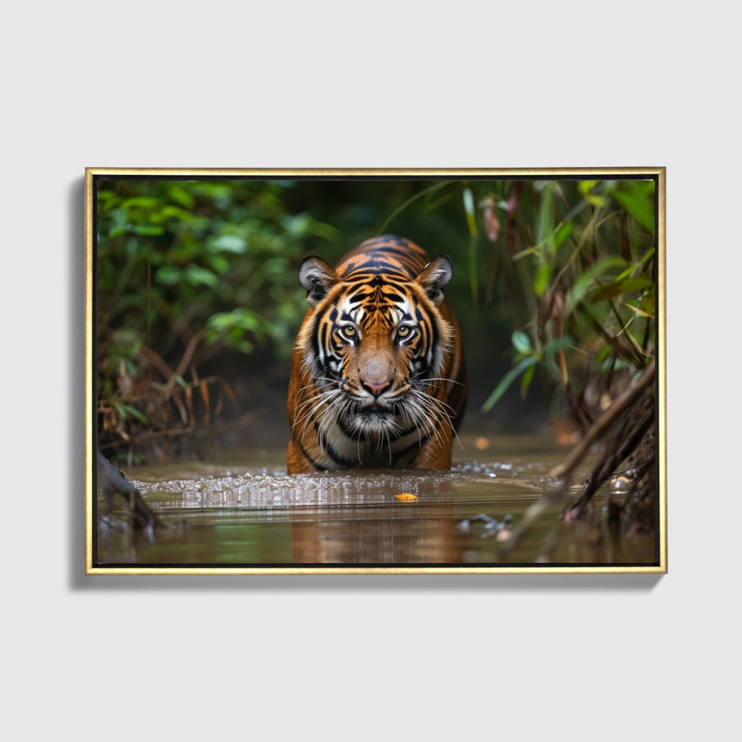Sumatran Tiger Steakthily Approachin Waterhole