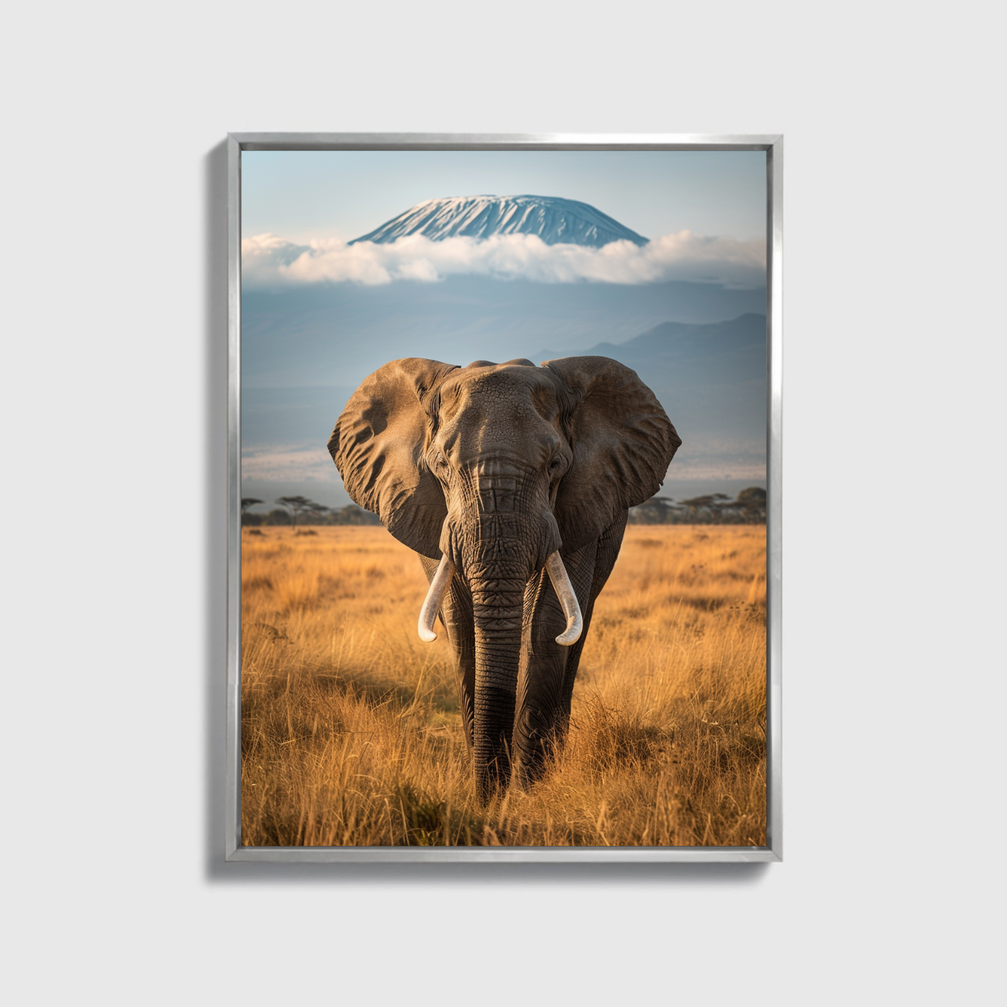 Amboseli National Park Elephant