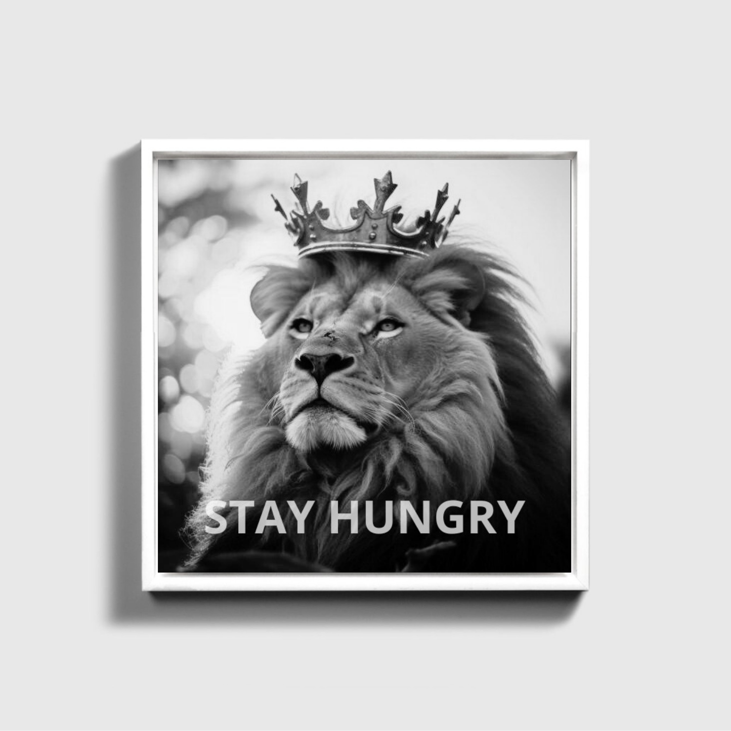 STAY HUNGRY