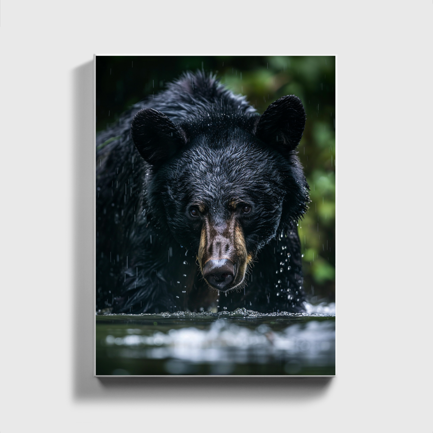 Black Bear Fishing Canadian River 2.0