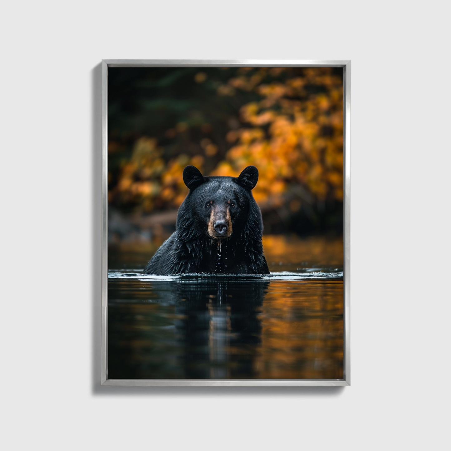 Black Bear Fishing Canadian River