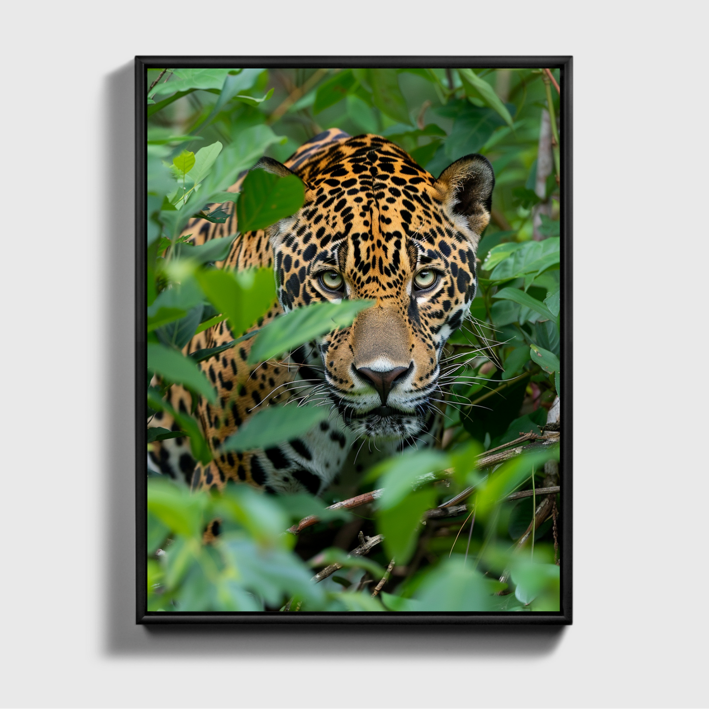 Jaguar in the Jungle