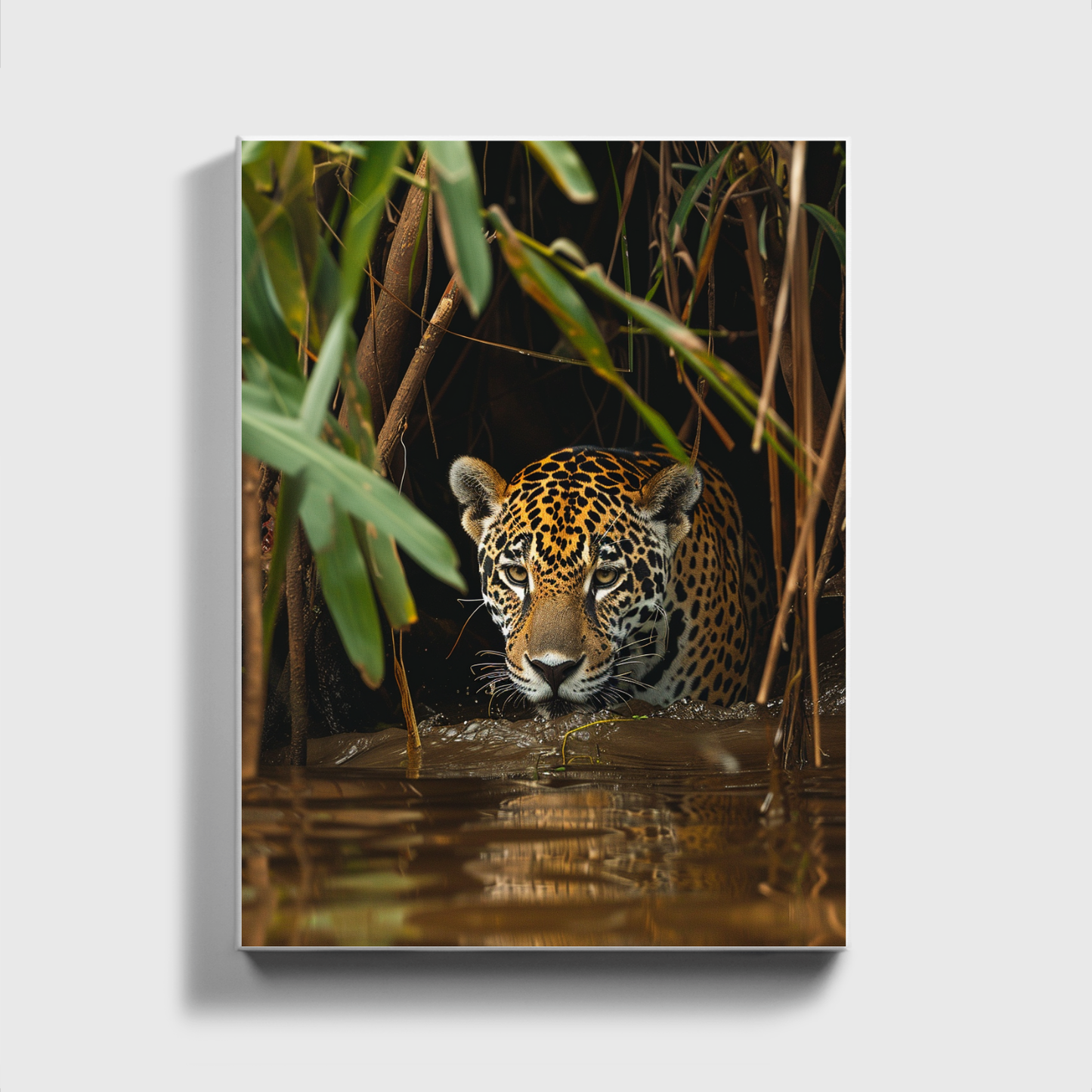Jaguar in the Jungle 3.0