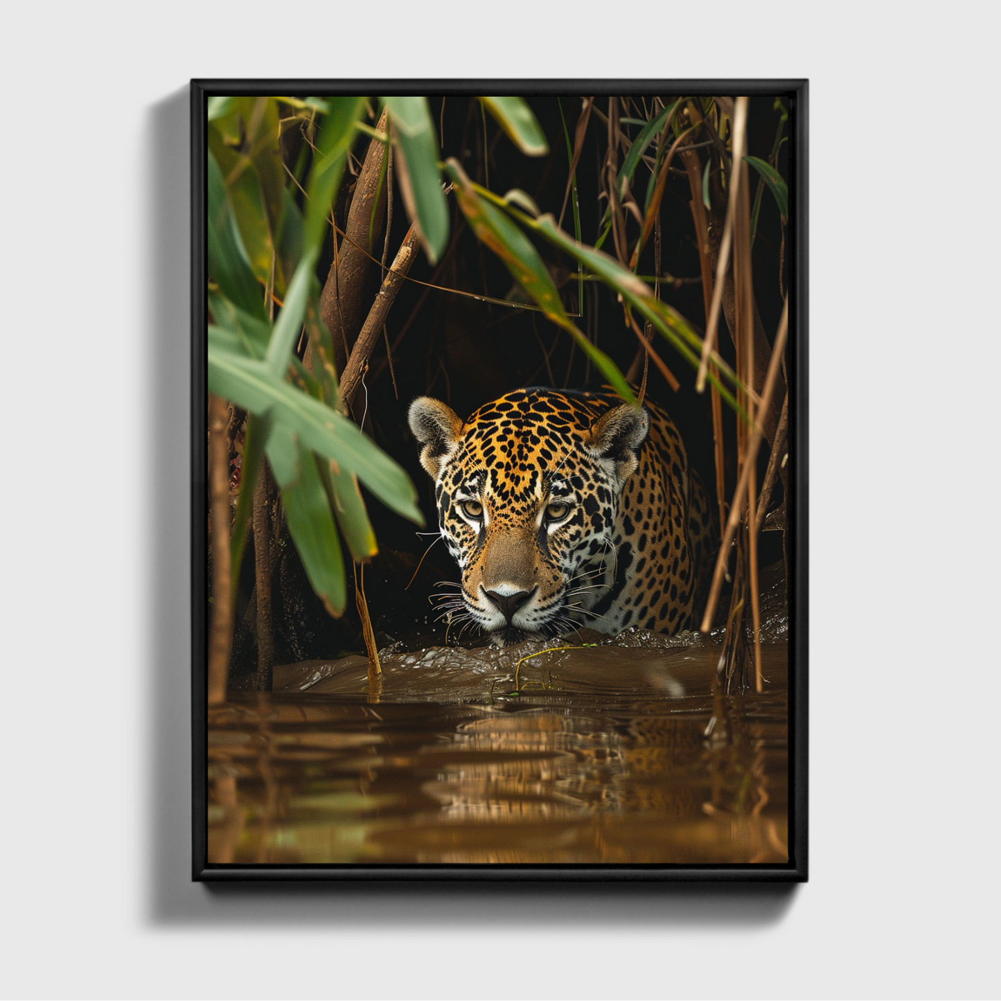 Jaguar in the Jungle 3.0