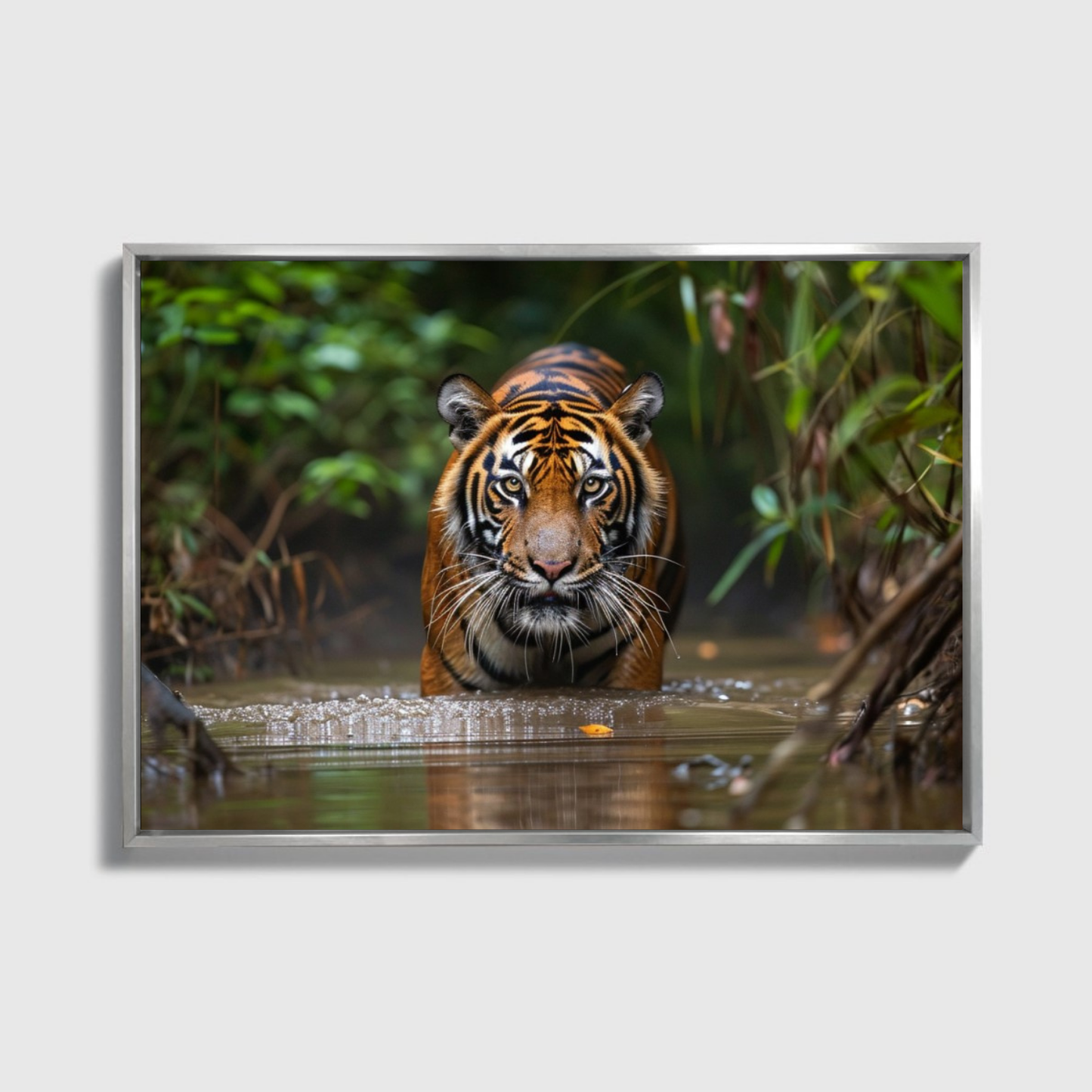 Sumatran Tiger Steakthily Approachin Waterhole