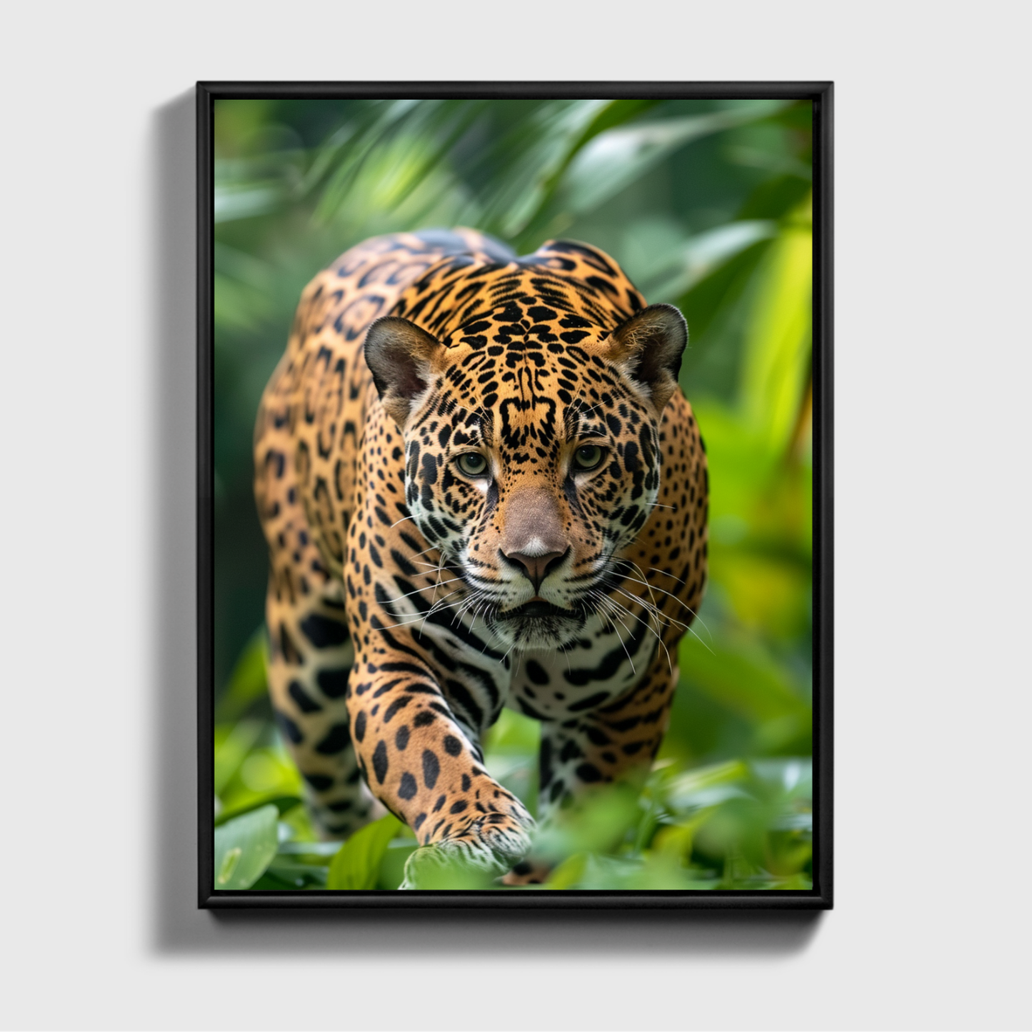 Jaguar running through the Jungle 2.0