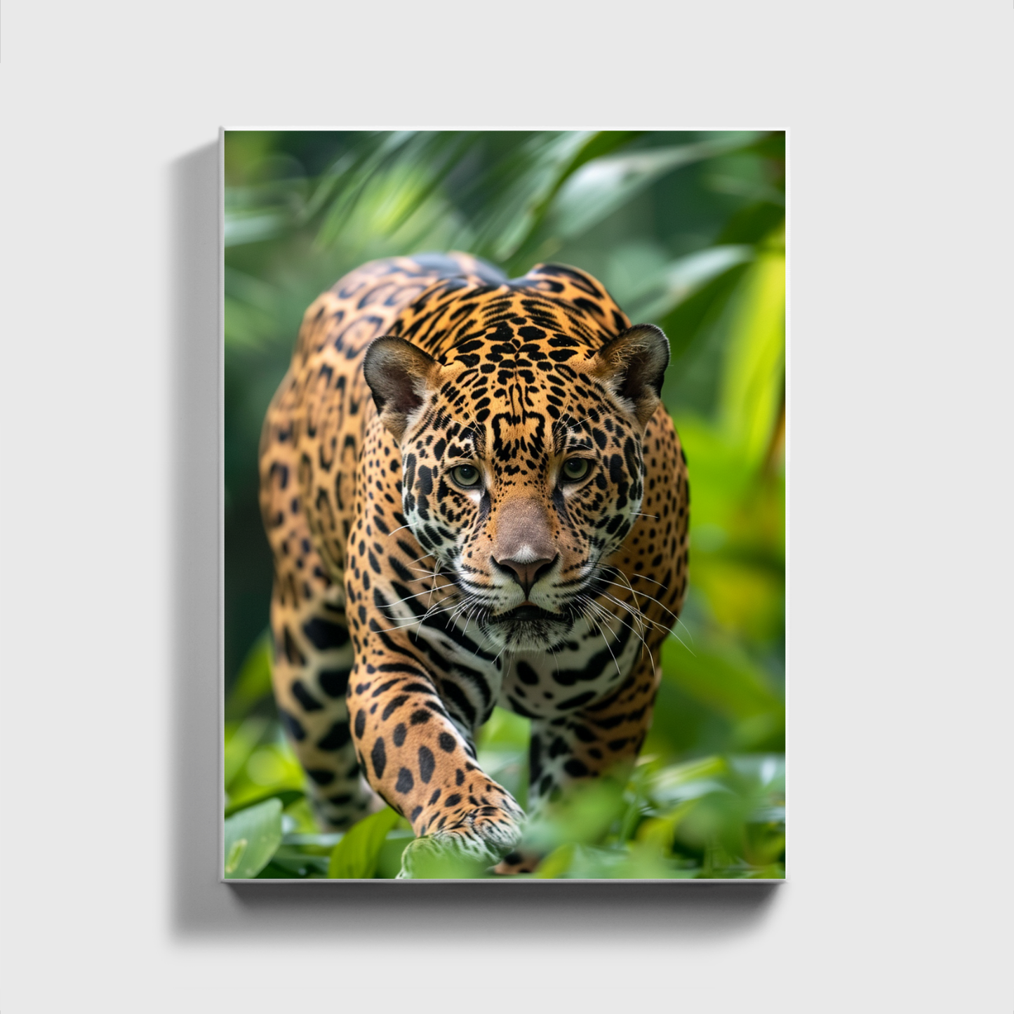 Jaguar running through the Jungle 2.0