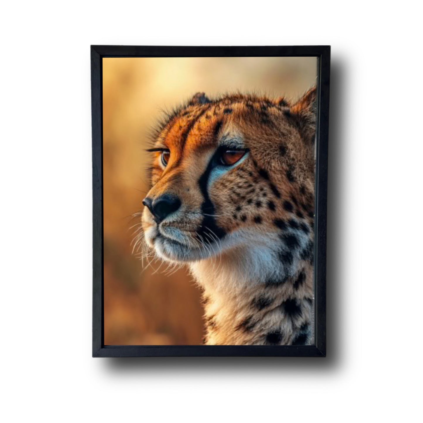 Cheetah Savanna 2X