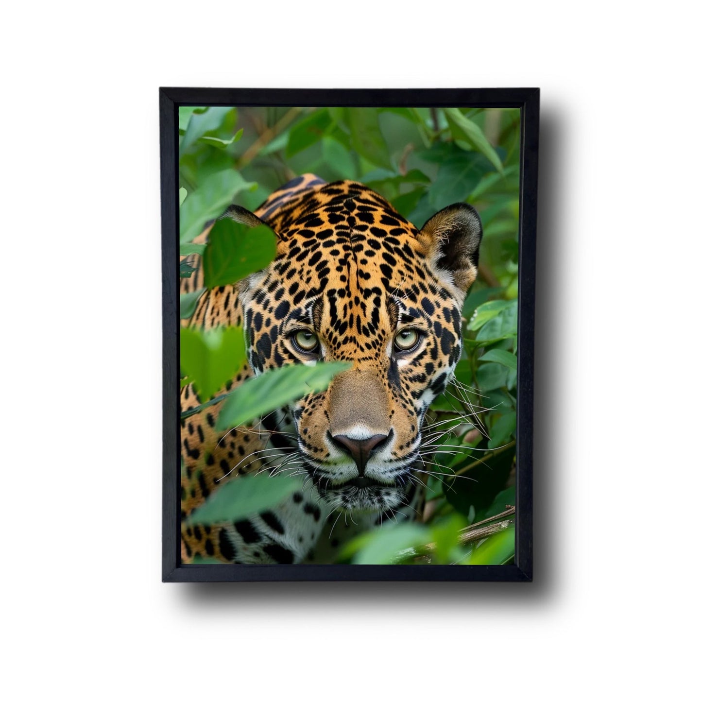 Jaguar in the Jungle