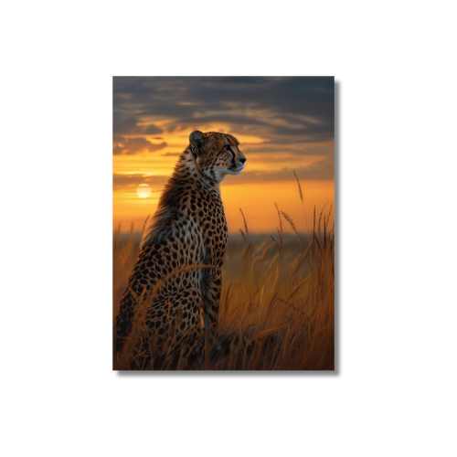 Cheetah Savannah Sunset