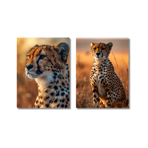 Cheetah Savanna 2X