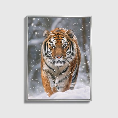Siberian Tiger Snow Forest