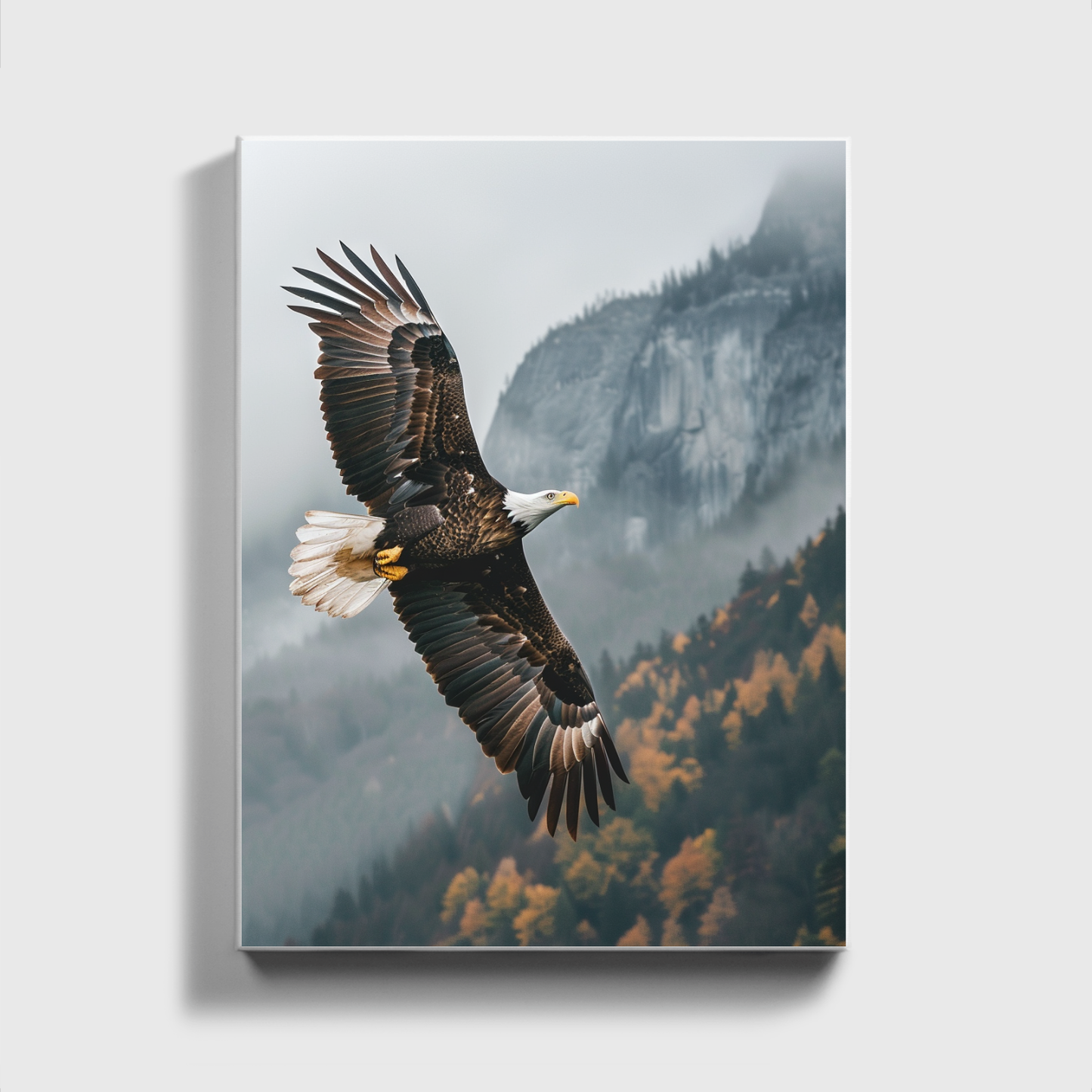 Adler