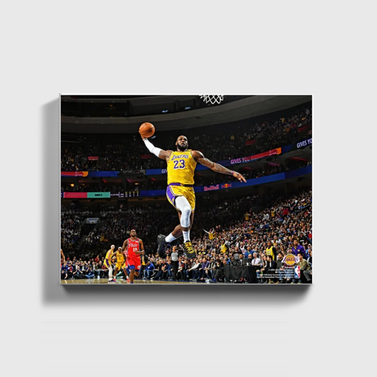 Lebron James Dunk