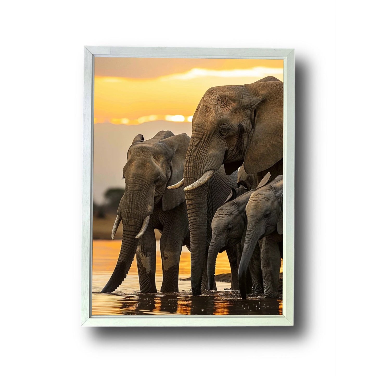 African Elephant Family