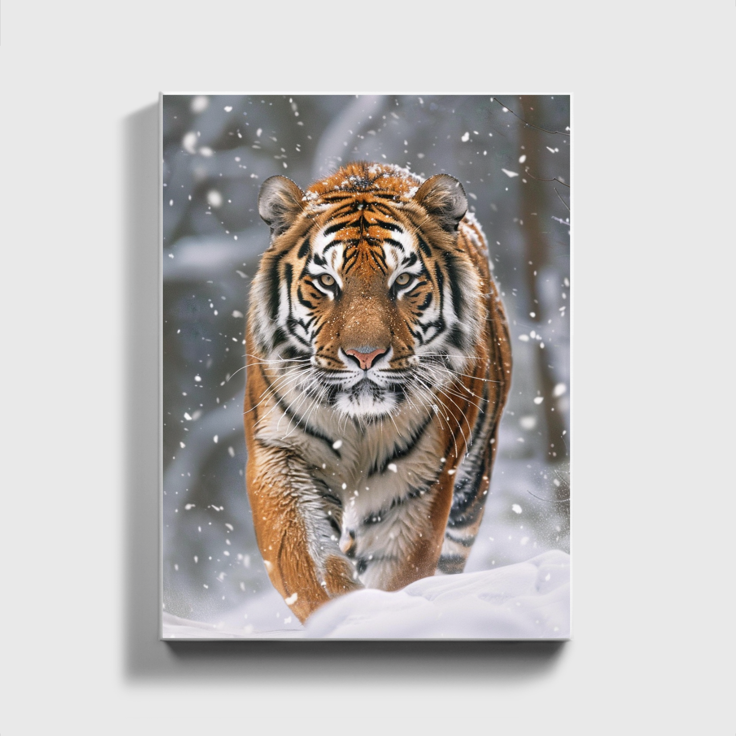 Siberian Tiger Snow Forest
