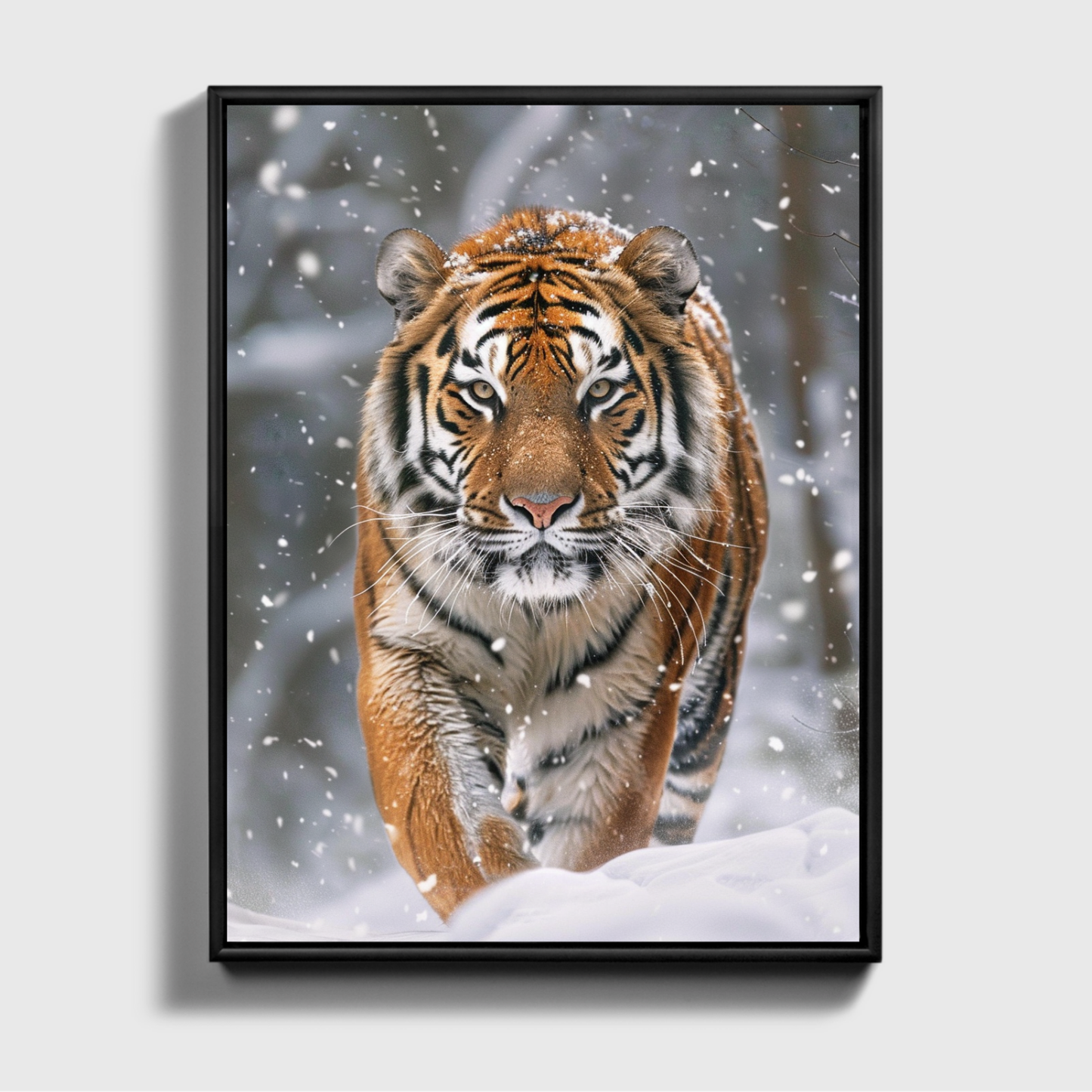 Siberian Tiger Snow Forest