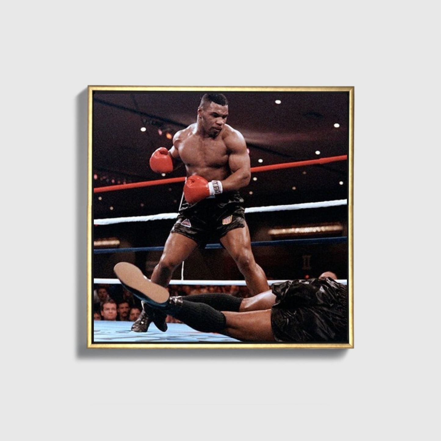 Mike Tyson Ko