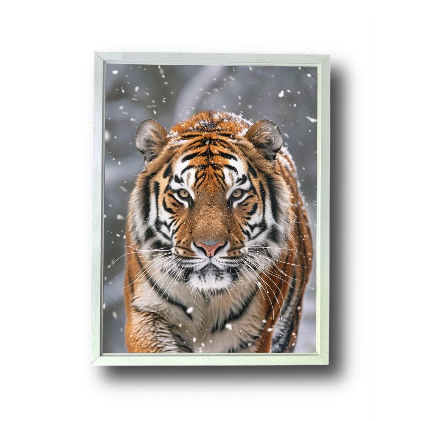 Siberian Tiger Snow Forest 3.0